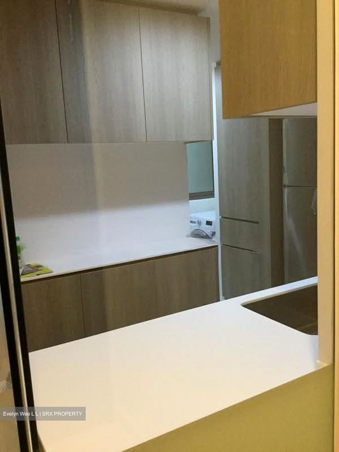 The Tembusu (D19), Condominium #638684741